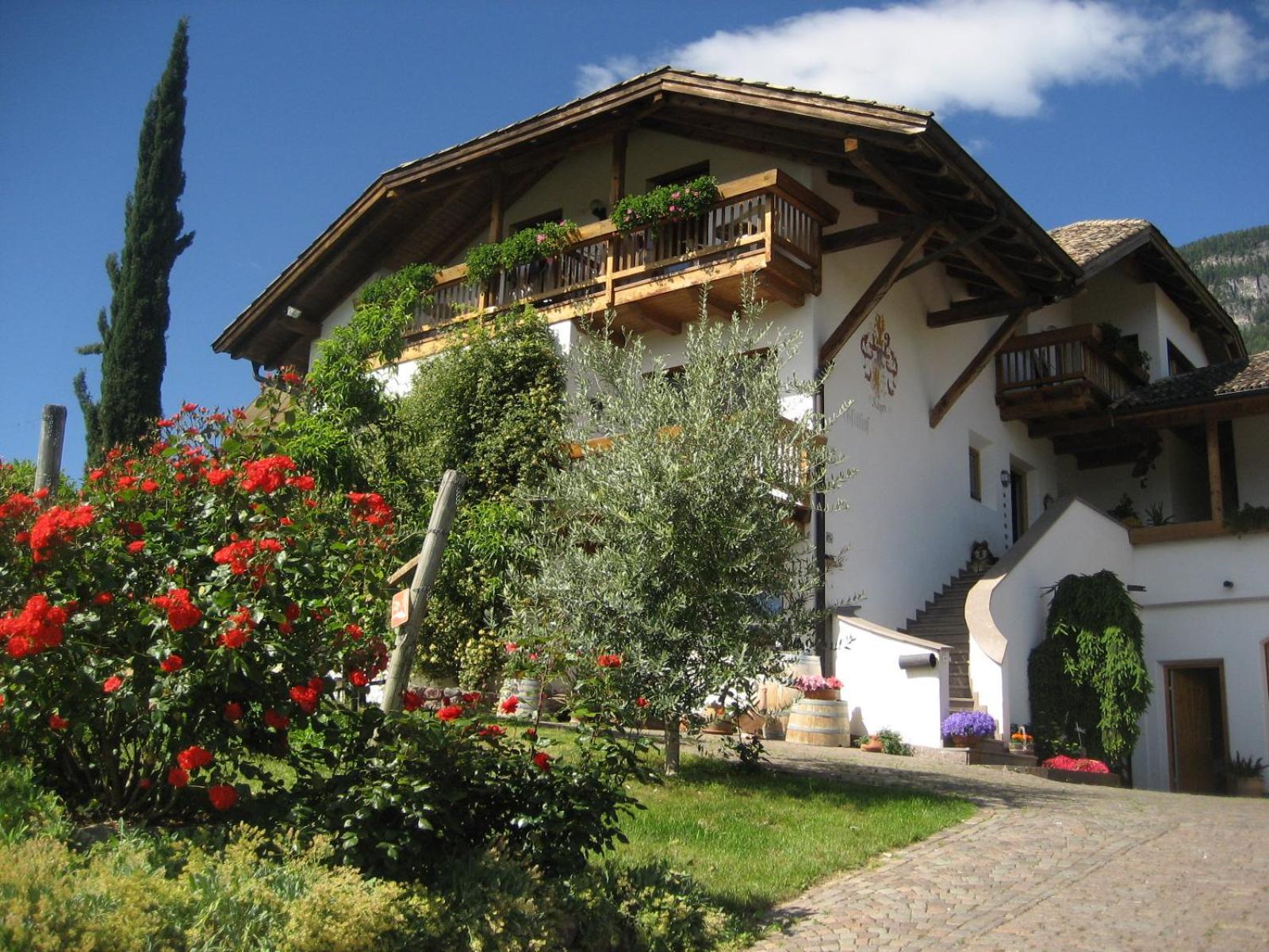Gfillhof Ferienwohnung 3 Аппиано-Сулла-Страда-дель-Вино Экстерьер фото